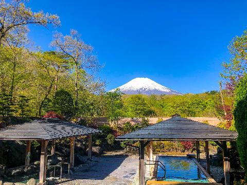 紅富士の湯、露天風呂からの富士山