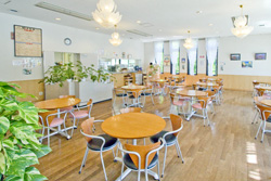 【お知らせ】レストラン四季彩は、当面 「 軽食・喫茶　四季彩 」となり、営業時間も変わります（1/16～）の写真