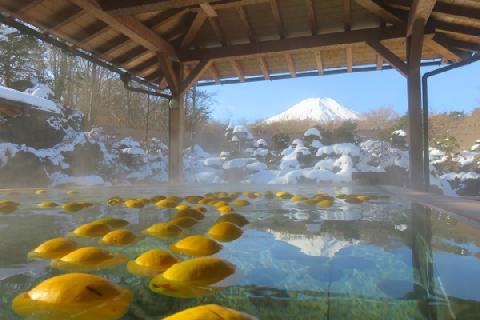 2016/11/26の富士山