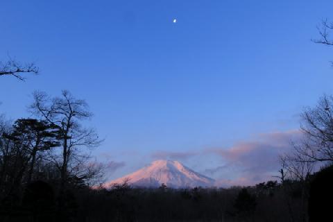 2019/01/26の富士山