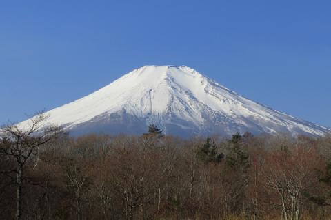 2019.02.23の富士山